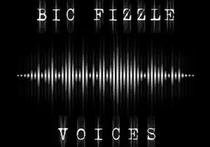 BiC Fizzle Voices Mp3 Download